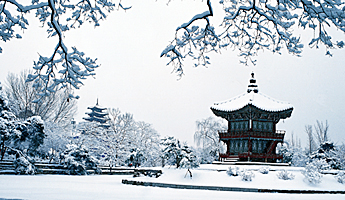 冬の韓国の写真