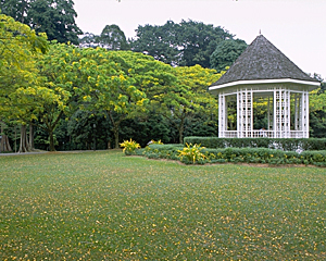 シンガポール植物園/国立蘭園